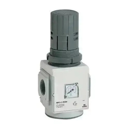 1/2" 0.5 - 10 BAR SELF - RELIEVING REGULATOR WITH GAUGE - SERIES - AK Valves Ltd