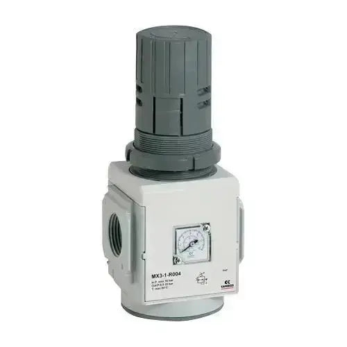 3/4" 0.5 - 10 BAR SELF - RELIEVING REGUALTOR WITH GAUGE - SERIES - AK Valves Ltd