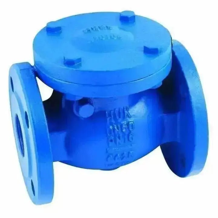 Cast Iron Swing Check Valve BS5153 Metal Seat - AK Valves Ltd