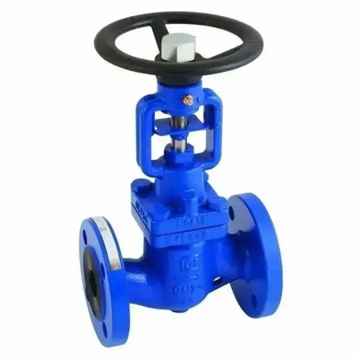 Globe Valve PN40 Flanged Carbon Steel Bellow Sealed - AK Valves Ltd