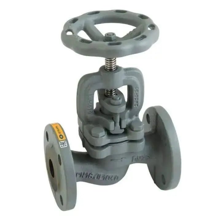 Globe Valve - Steam - PN16 - AK Valves Ltd