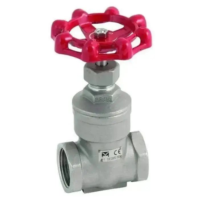 Stainless Steel Gate Valve 200psi - AK Valves Ltd