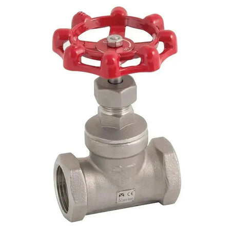 Stainless Steel Globe Valve BSP Ends - AK Valves Ltd